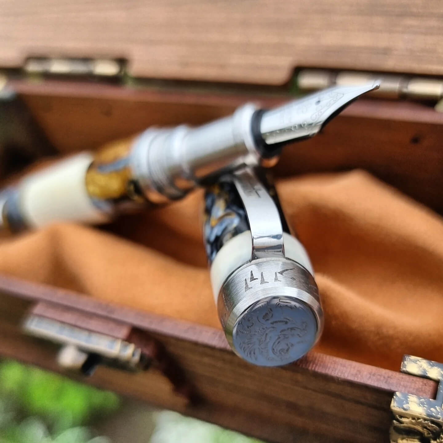 Fidevita "Africa" - Image 6