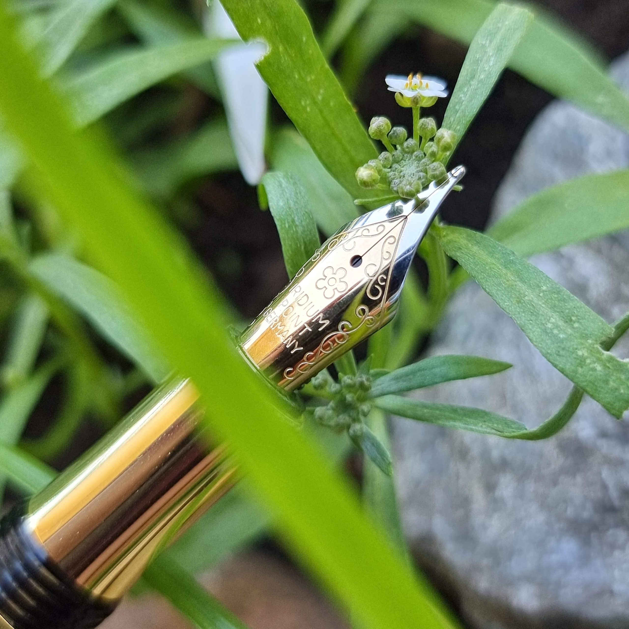 Fountain & Rollerball Pens